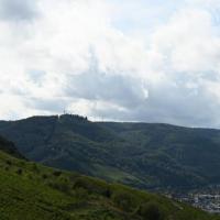DSC_1277