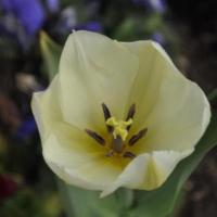 DSC0009